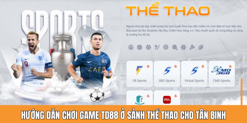 Hướng dẫn chơi game TD88 ở sảnh thể thao cho tân binh