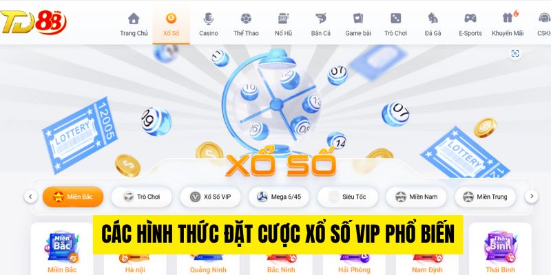 Các hình thức đặt cược xổ số VIP phổ biến