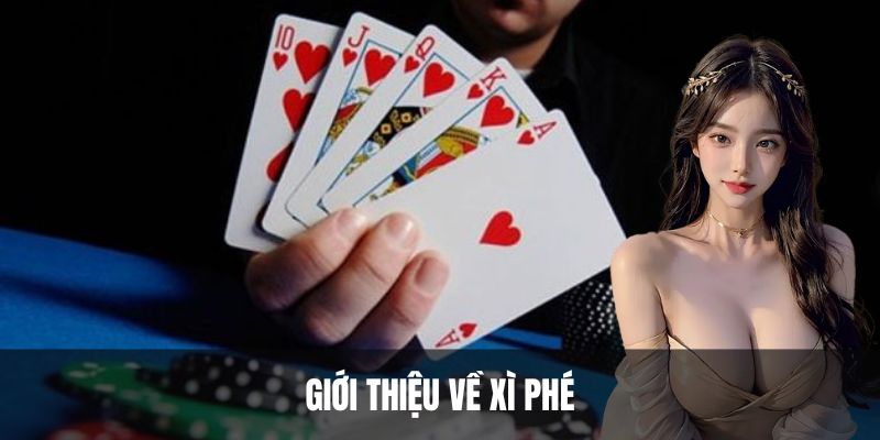 Giới thiệu về xì phé