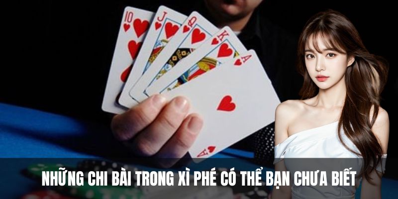 Những chi bài trong xì phé có thể bạn chưa biết